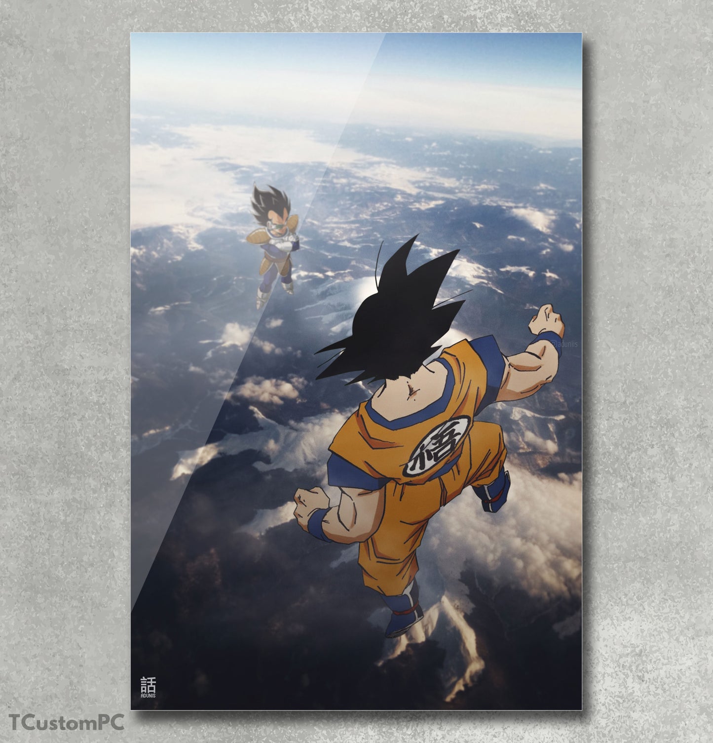 Cuadro DBZ fight
