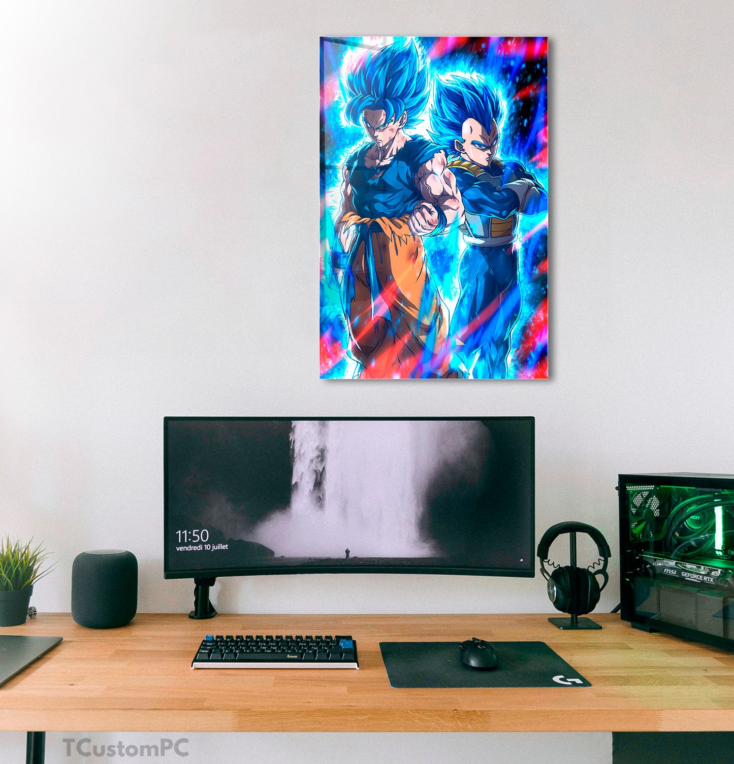 Db redraw Goku and Vegeta painting