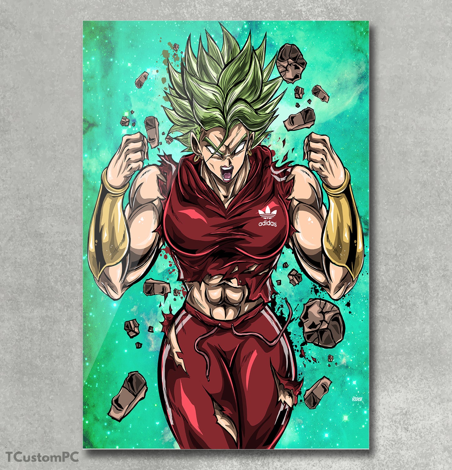 Cuadro Dragon Ball, Kale X Adidas