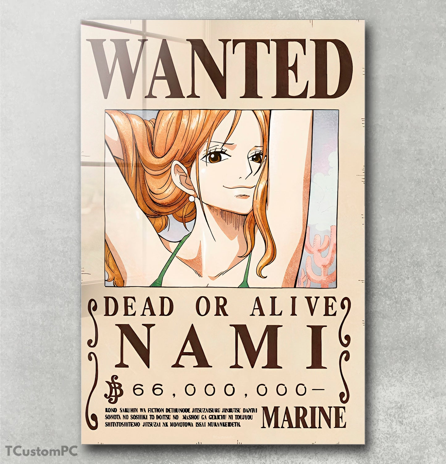 Cuadro Nami Wanted bounty