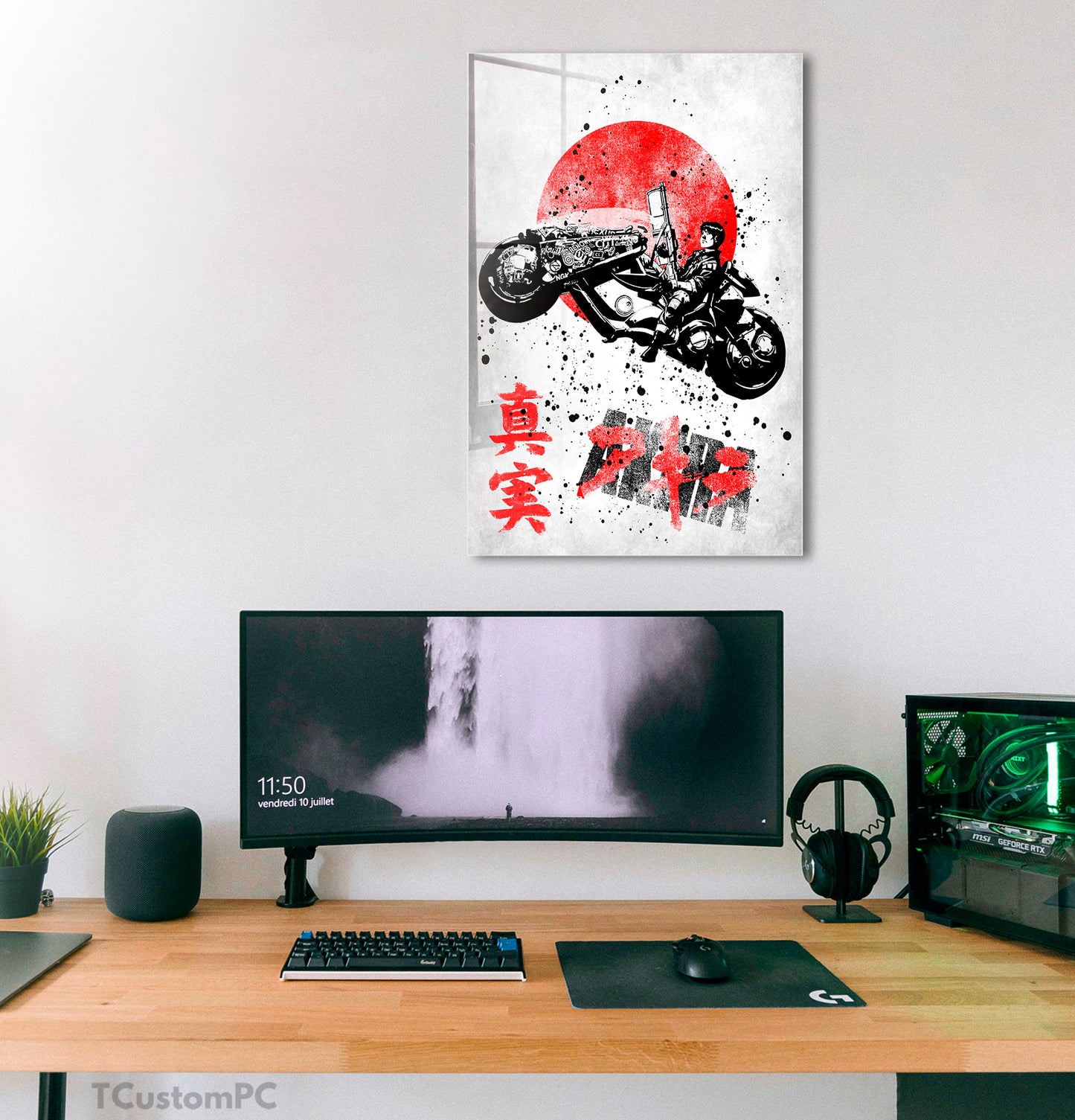 Cuadro Oni 103 AKIRA