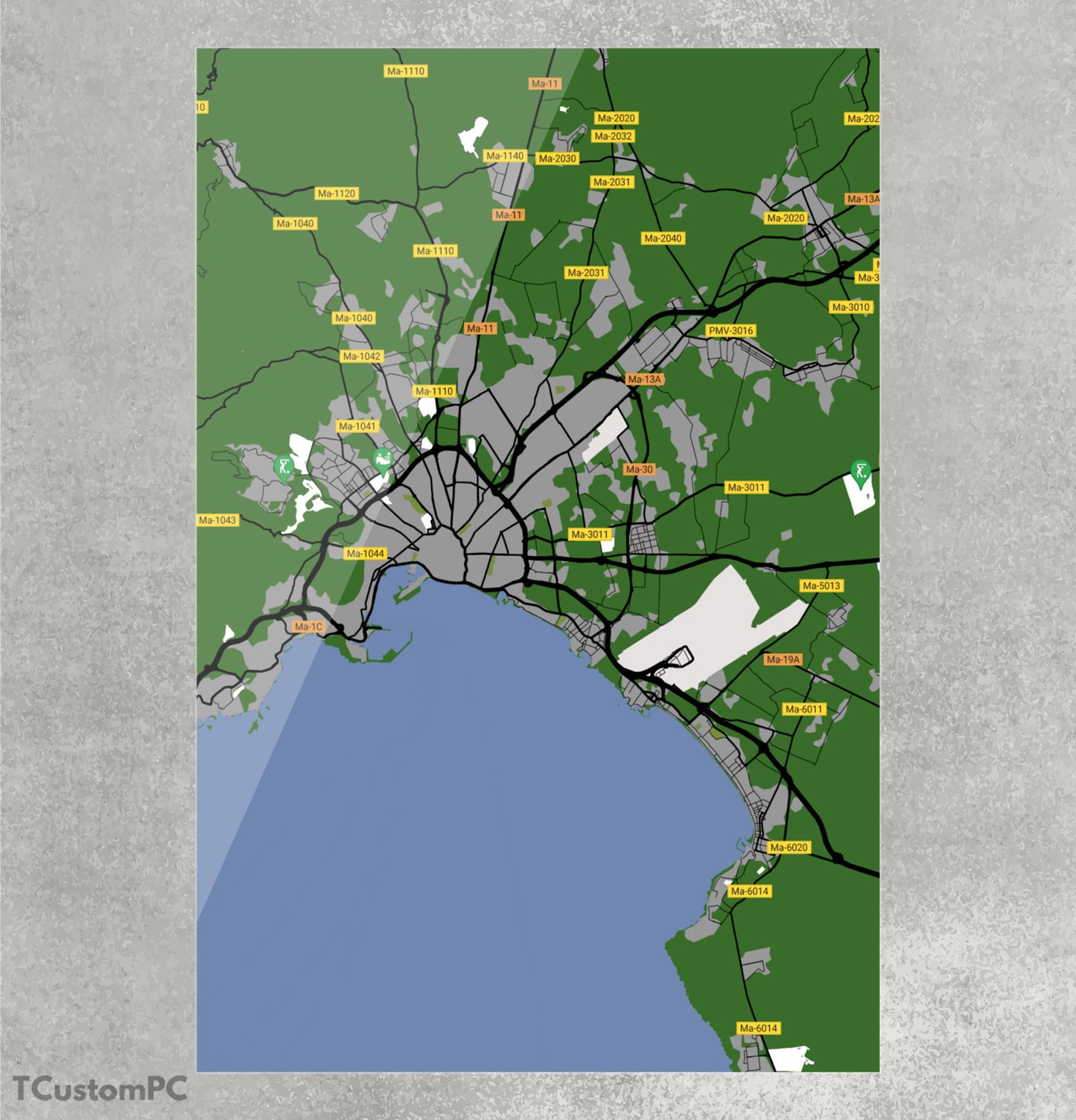 Cuadro Palma Map300