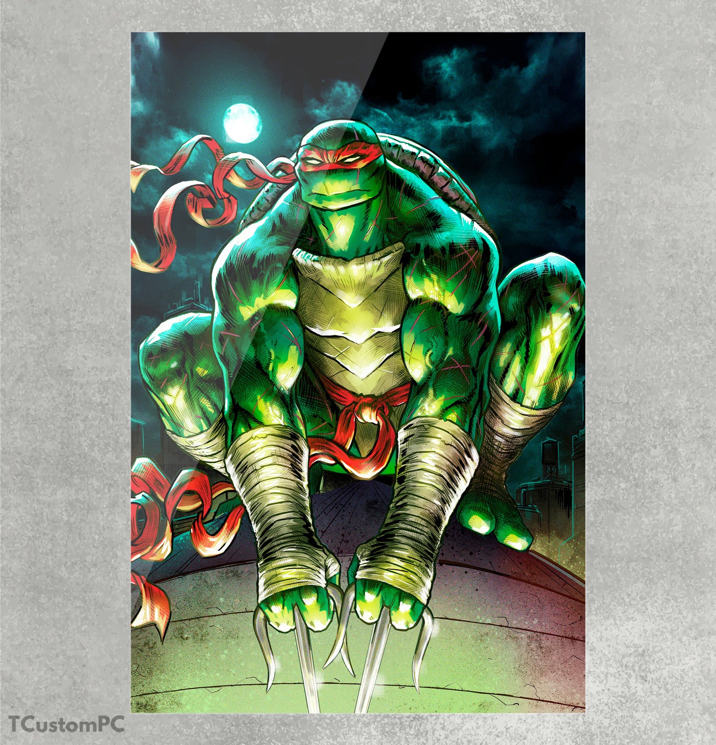 Quadro Raph Ninja.T