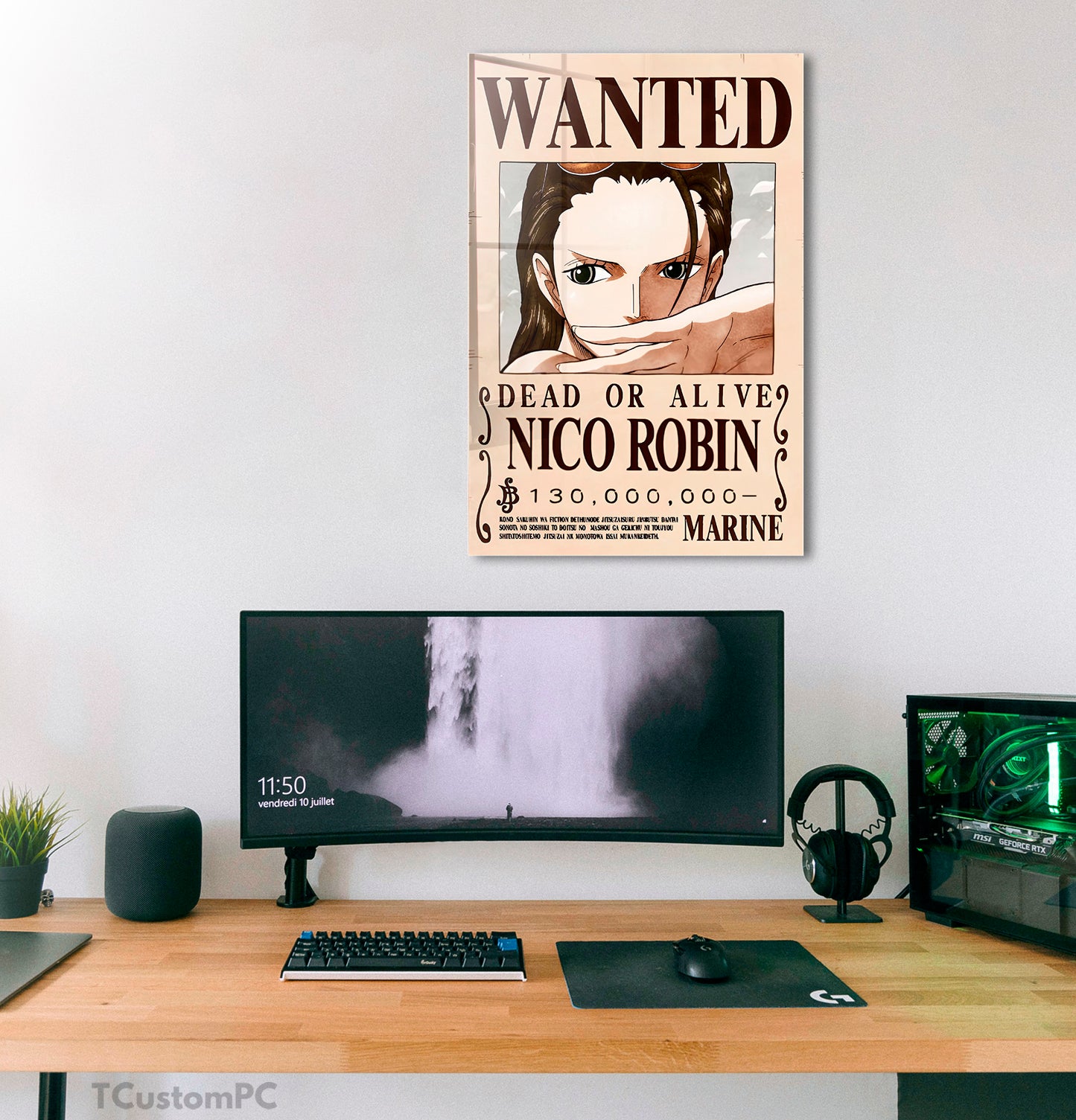 Cuadro Nico Robin Wanted bounty