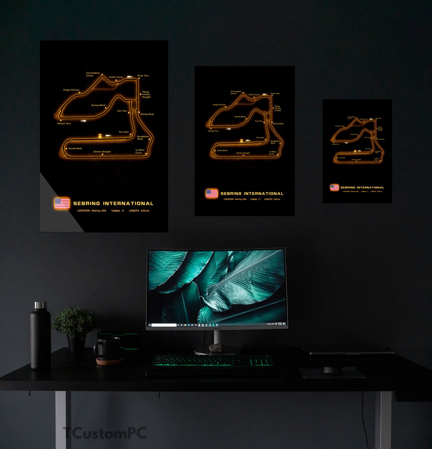 Cuadro Sebring Circuit