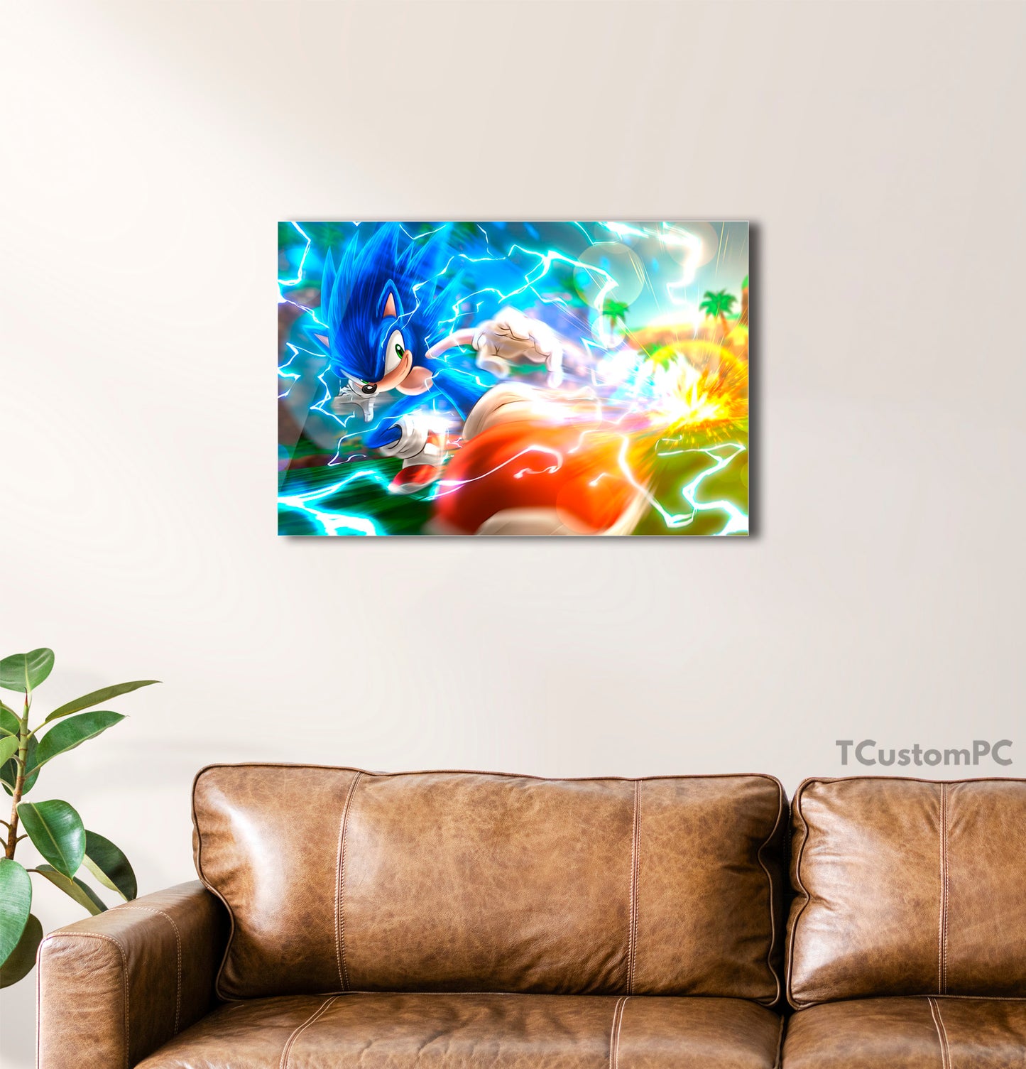 Cuadro Sonic Speed fast