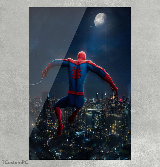 Cuadro SpiderMan FreeFall 200th v1