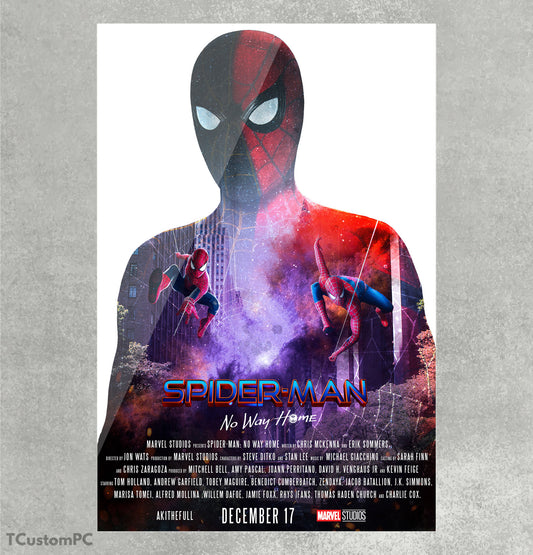 Cuadro SpiderMan No Way Home v1