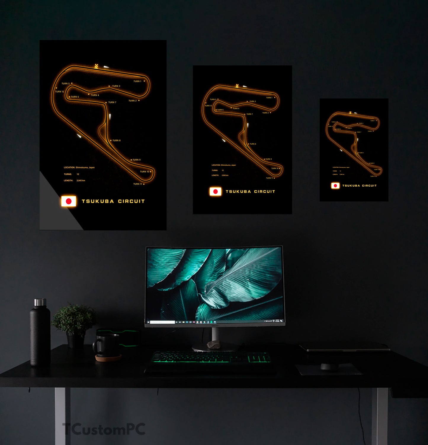 Cuadro Tsukuba Circuit