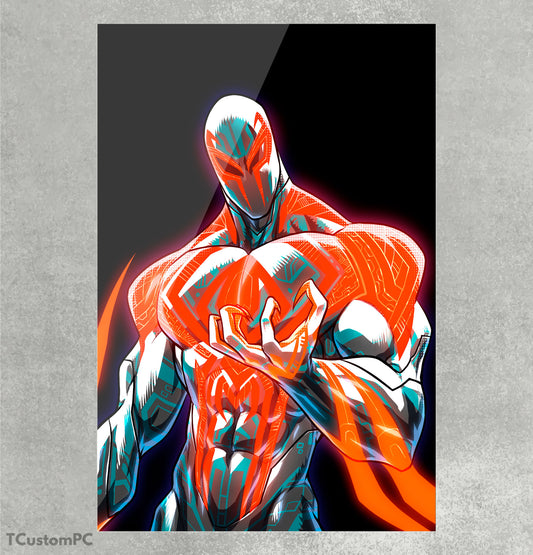 Cuadro 2099 White Df