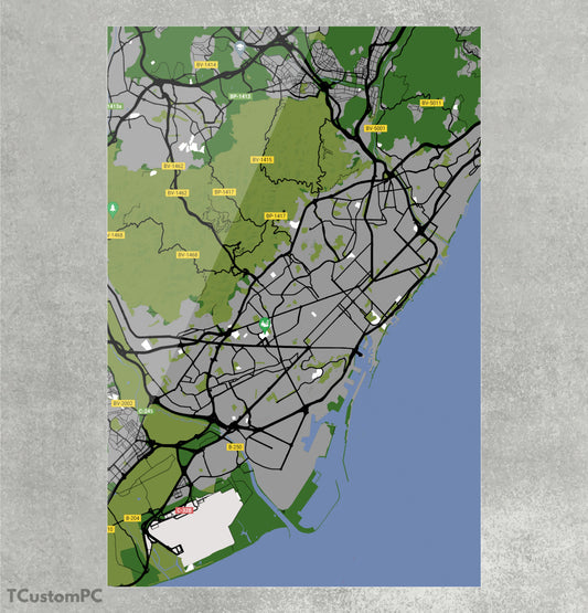 Cuadro Barcelona Map300