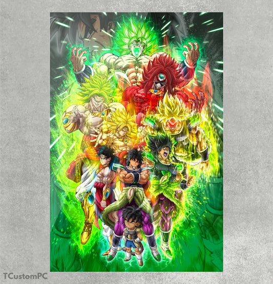 Cuadro Broly All Forms