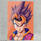 Cuadro DB Gohan Angry300