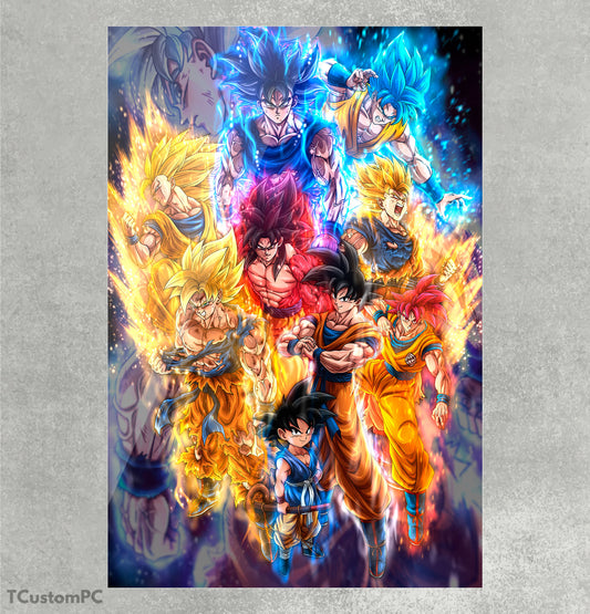 Cuadro Goku All Forms
