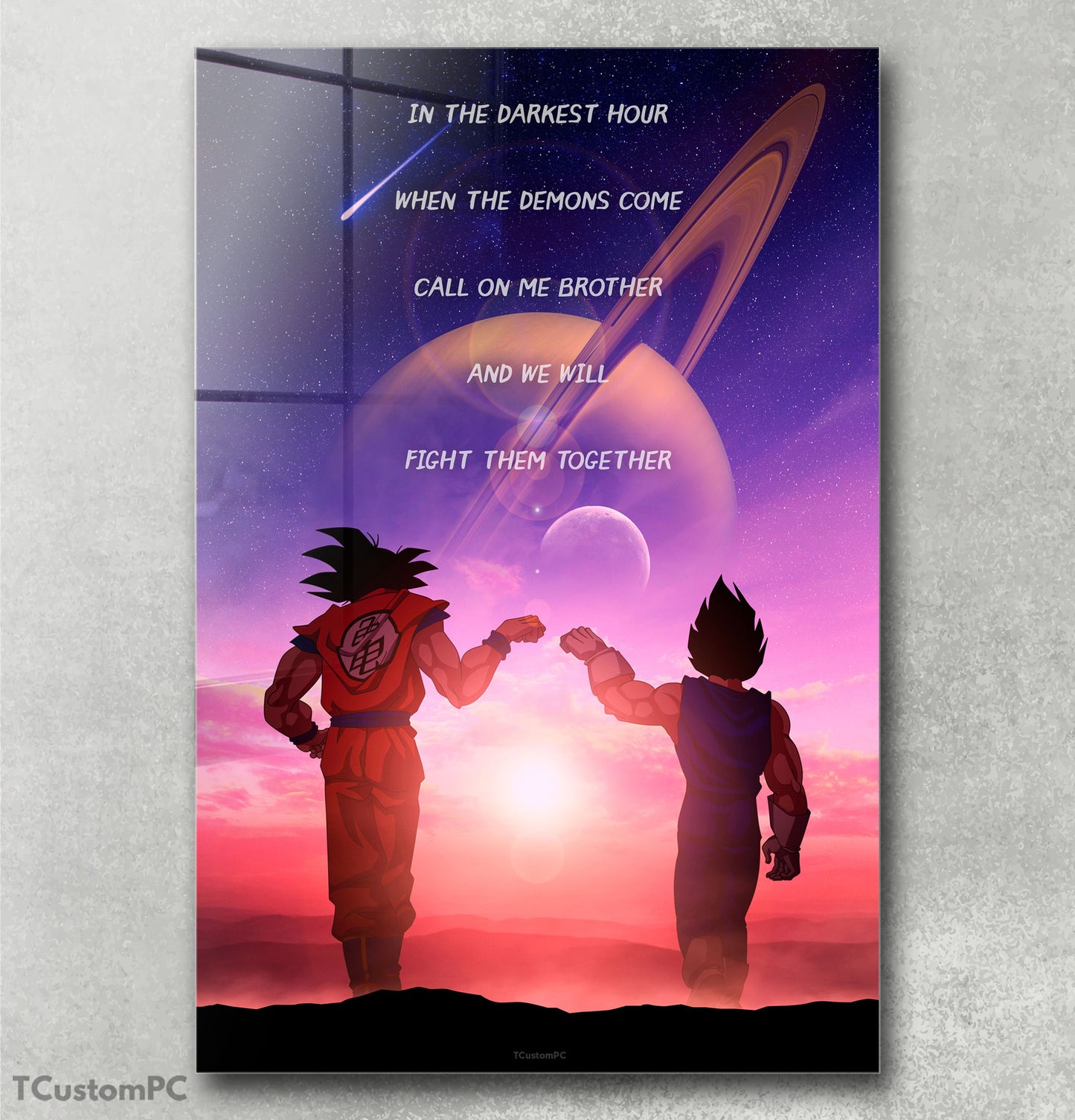 Cuadro Goku & Vegeta Anime Manipulation