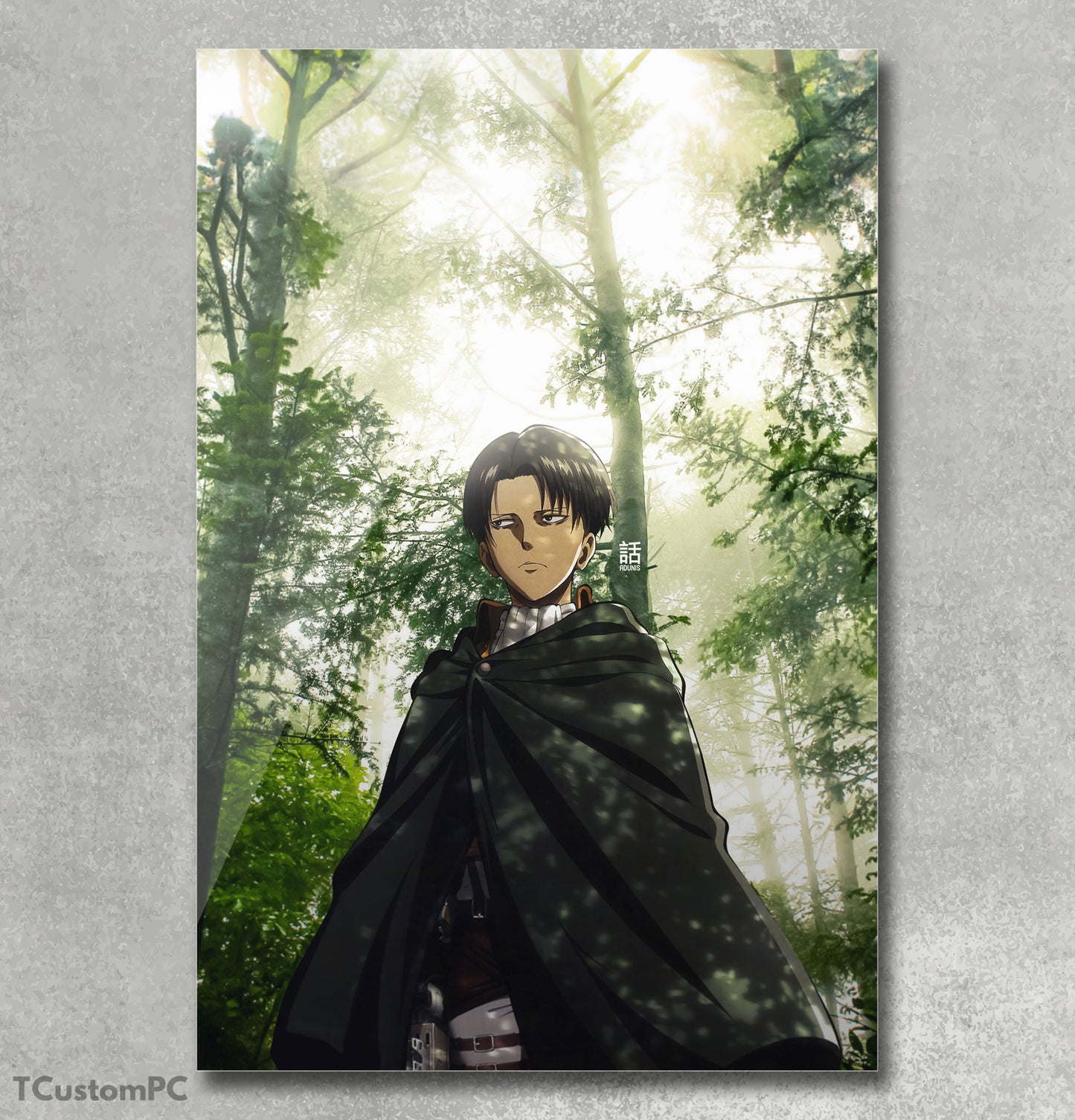 Cuadro Levi ackreman, Attack on Titan