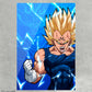 Cuadro Majin Vegeta 1 DB