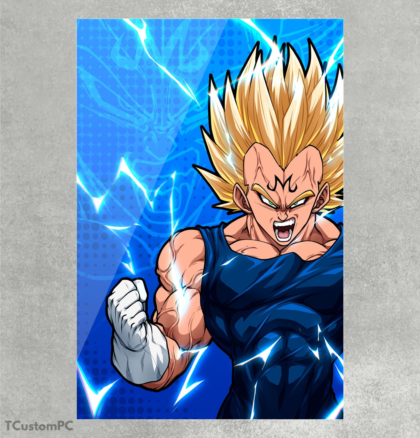 Cuadro Majin Vegeta 1 DB