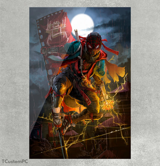 Cuadro Miles Morales Sxv