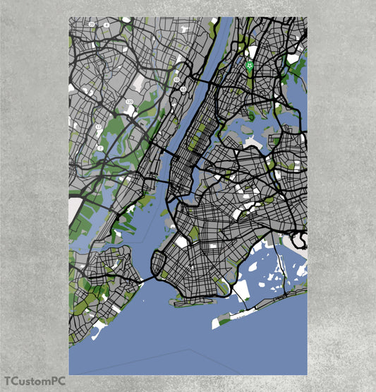 Cuadro New York Map300
