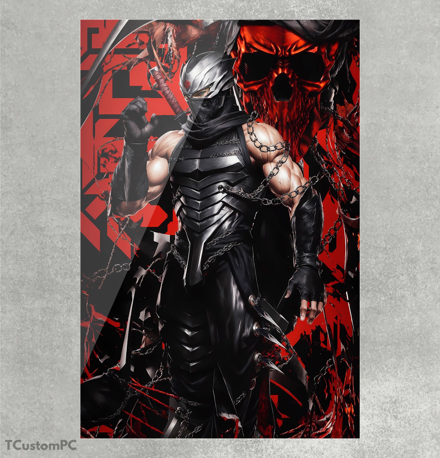 Cuadro Ninja Gaiden ultimate