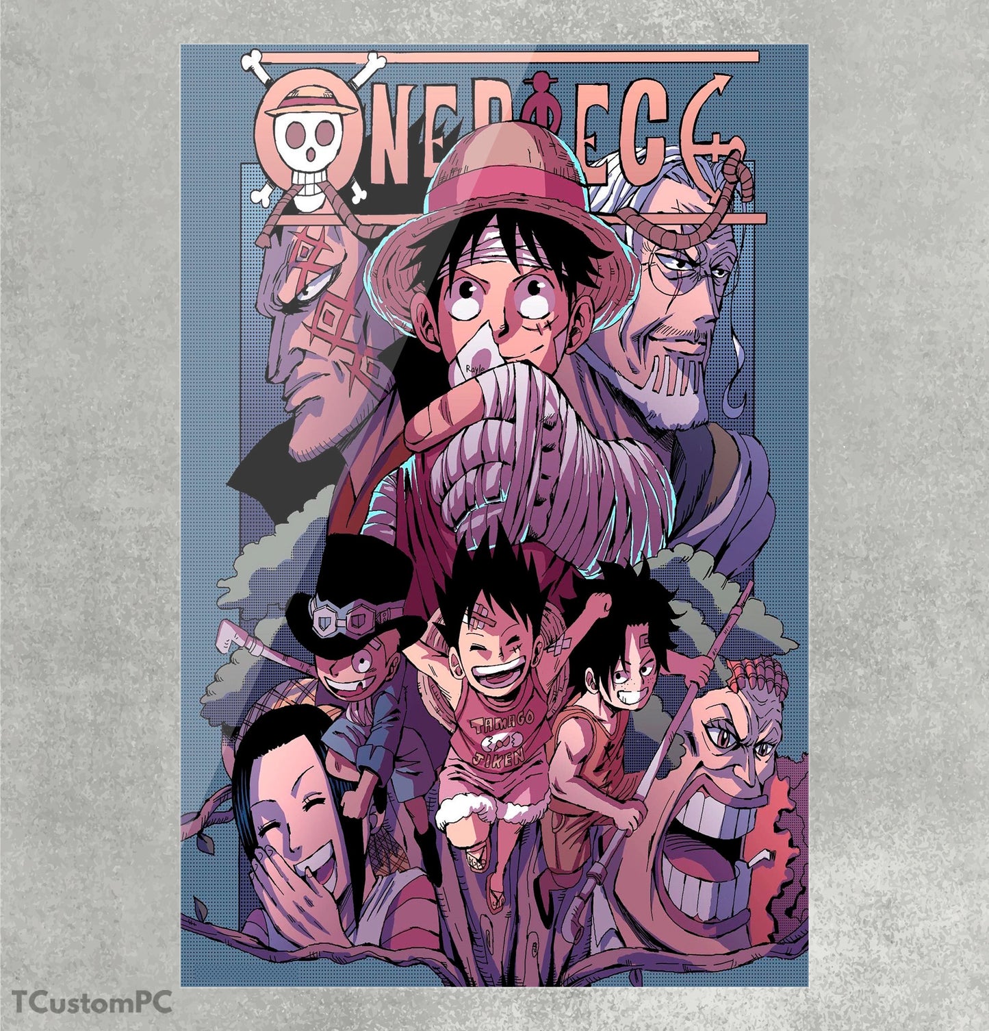 Cuadro One Piece Cover v1