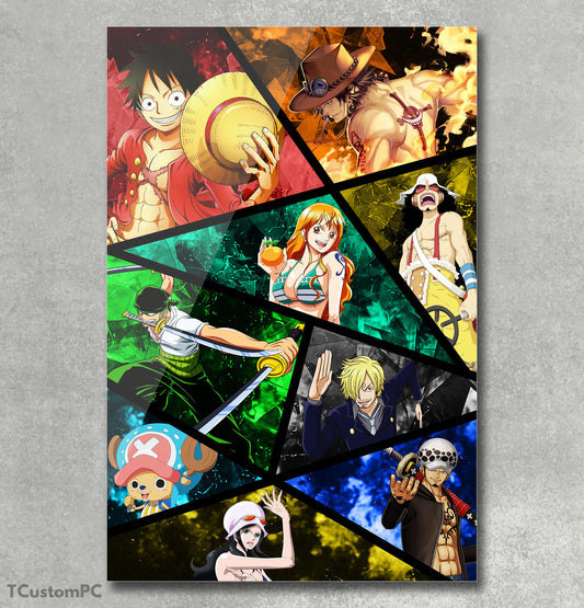 Cuadro Pirate Warriors