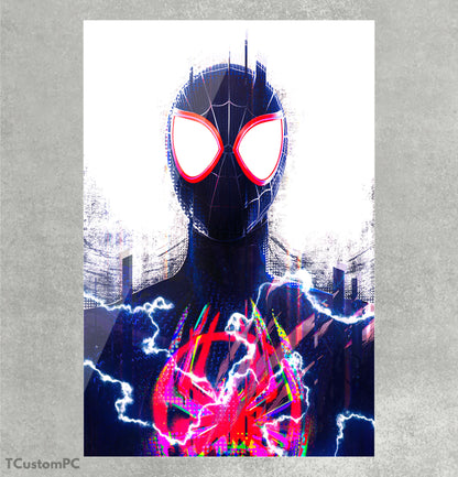 Pintura do Homem-Aranha no Spiderverse v1