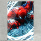 Cuadro Spider-Man PS4