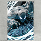 Wall Art Spider-Man Silvers