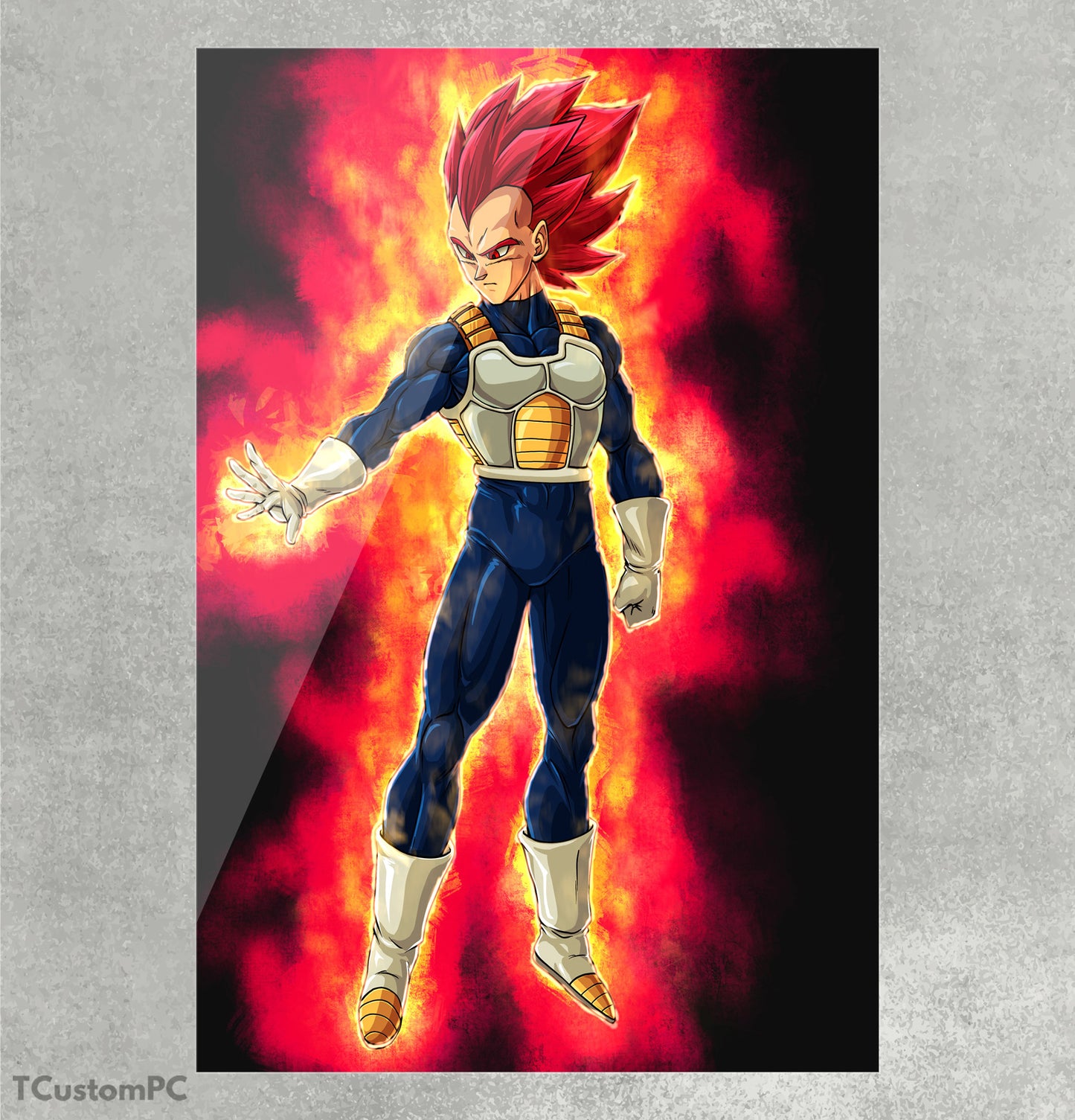 Cuadro Vegeta Ssg DB