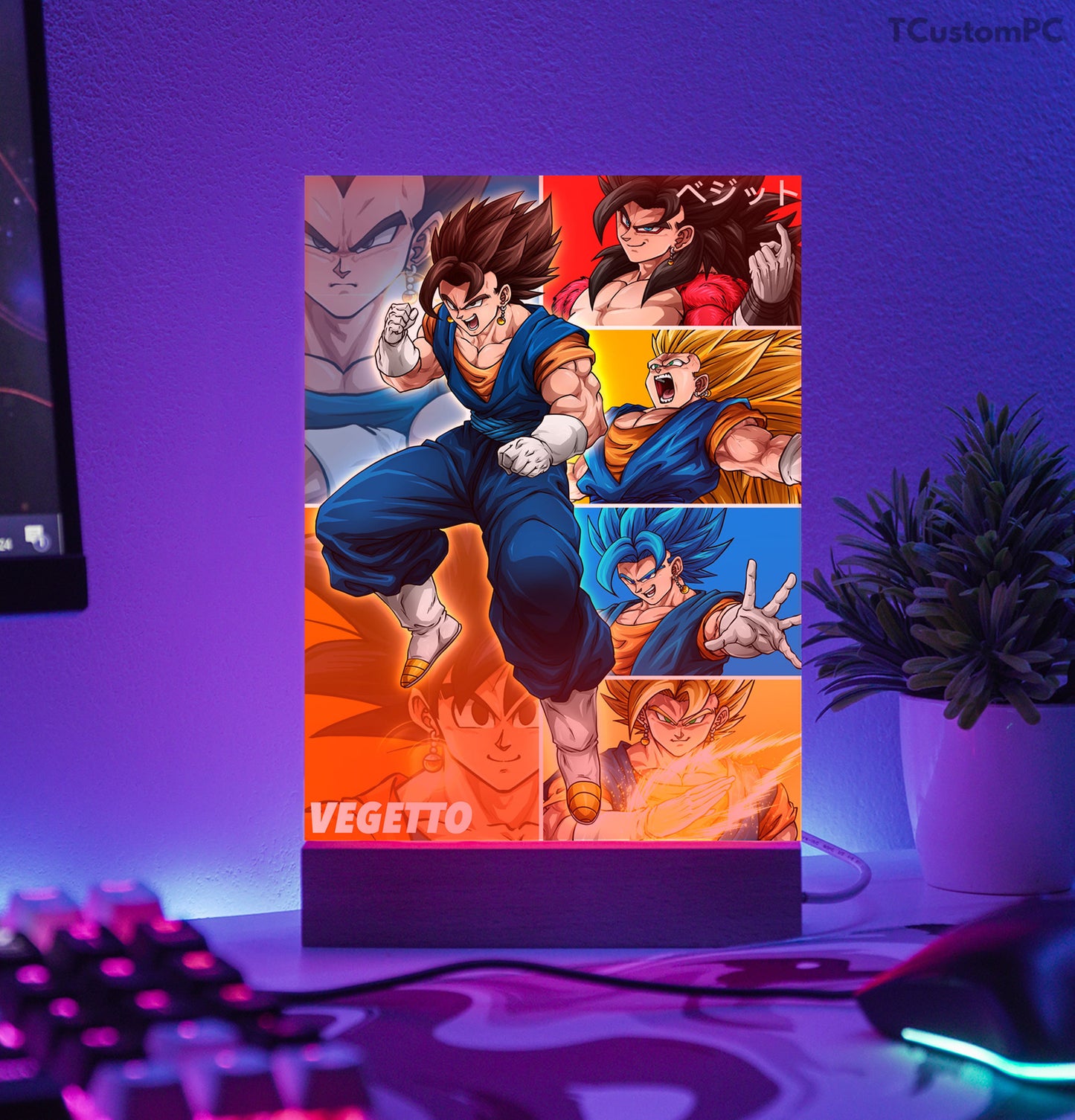 TC-Lamp Vegito all forms poster