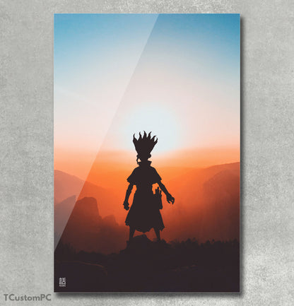 Dr stone painting